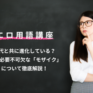 エロ用語講座 時代と共に進化してる？AVに必要不可欠な「モザイク」を徹底解説！